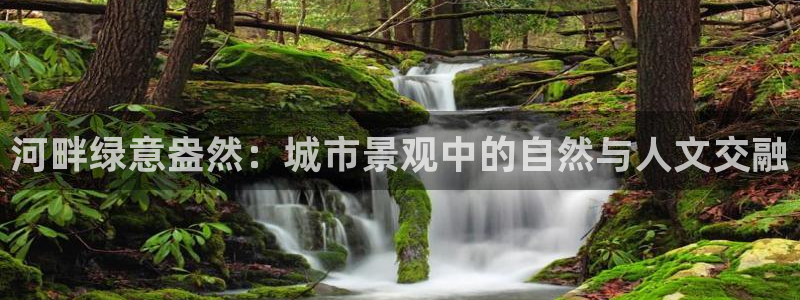 新宝 gg最新:河畔绿意盎然:城市景观中的自然与人文交融